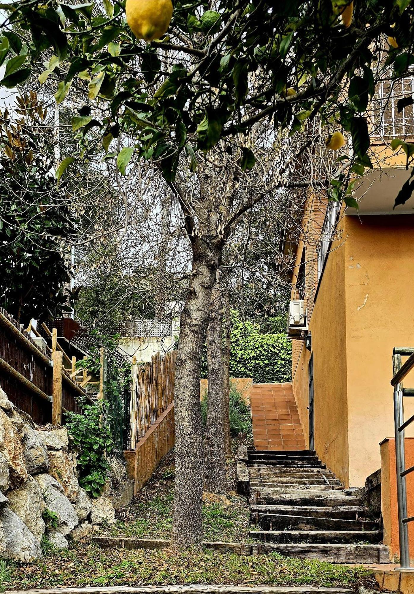 Cal Nene - Plamun Es Villa Begur Luaran gambar